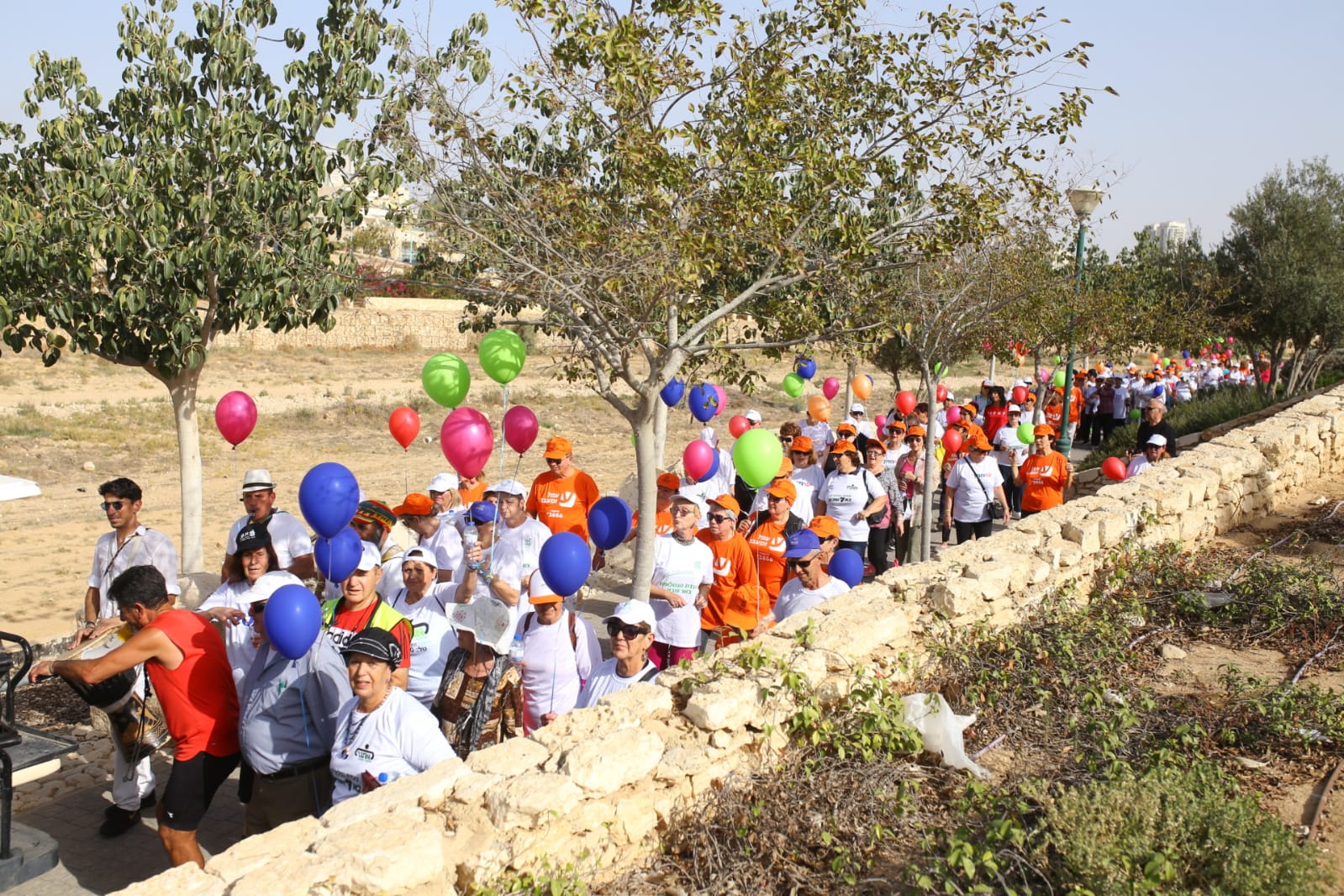 צעדת הגמלאים